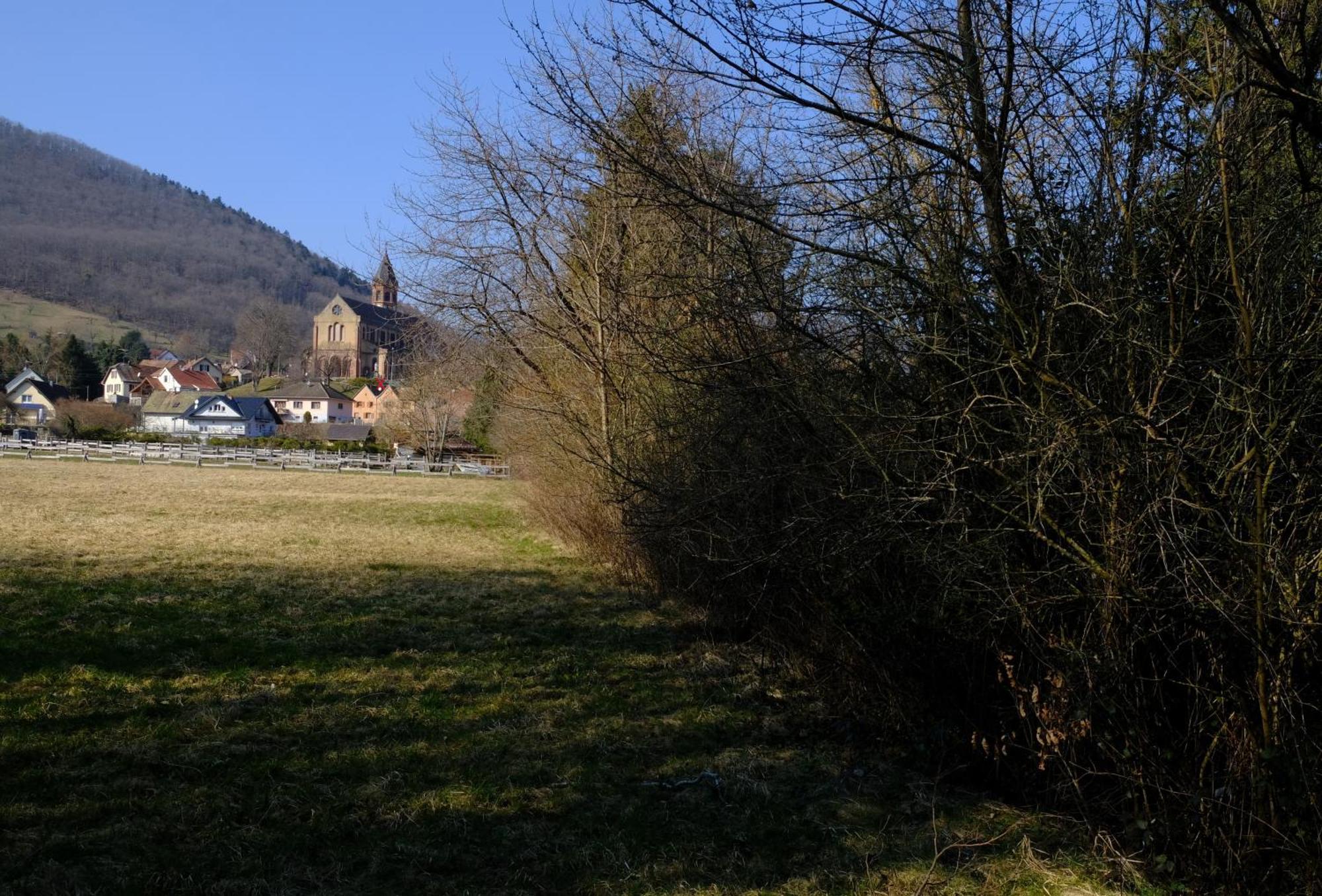 Apartament Aux Jardins D'Argiles Buhl Zewnętrze zdjęcie